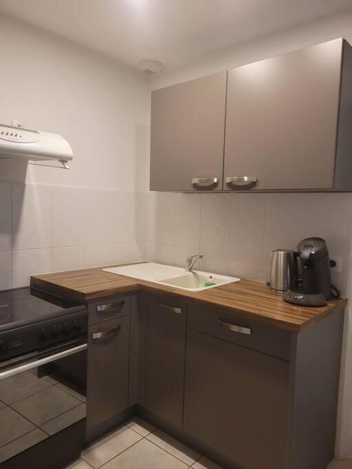 Appartement Sur La Place De Poncin Eksteriør bilde